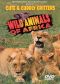 Cute and Cuddly Critters: Wild Animals of Africa