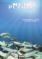 The Blue Planet: Seas of Life, Part 5 - Seasonal Seas