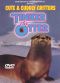 Cute and Cuddly Critters: Tinker the Otter