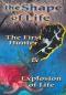The Shape of Life, Episode 3: The First Hunter