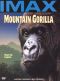 Mountain Gorilla