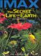 The Secret of Life on Earth