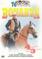 Bonanza: The Courtship