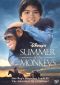 Summer of the Monkeys