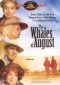 The Whales of August