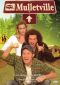 Mulletville