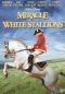 Miracle of the White Stallions