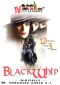 Zorro's Black Whip [Serial]