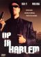 Up In Harlem