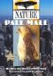 Nature: Pale Male