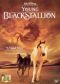The Young Black Stallion