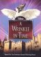 A Wrinkle in Time