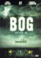 Bog