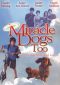 Miracle Dogs Too