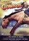 The Cowboy