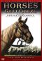 Horses of Gettysburg: Civil War Minutes IV