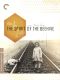 The Spirit of the Beehive