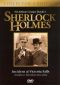 Sherlock Holmes: Incident at Victoria Falls
