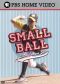 Small Ball: A Little League Story