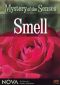 NOVA: Mystery of the Senses - Smell