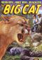 The Big Cat