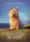 The Adventures of Greyfriars Bobby