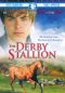 The Derby Stallion