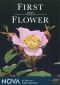NOVA: First Flower