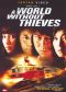 A World Without Thieves