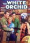 The White Orchid