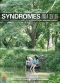Syndromes and a Century