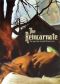 The Reincarnate