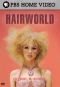The Pursuit of Excellence: Hair World