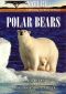 Nature: Arctic Bears