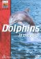 Dolphins in the Wild
