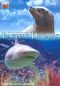 Pacific Dreams
