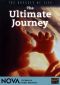 NOVA: The Odyssey of Life - The Ultimate Journey