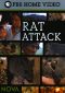 NOVA: Rat Attack