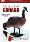 Souvenir of Canada