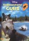 Yellowstone Cubs