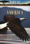 Nature: Andes - The Dragon's Back
