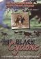 Black Cyclone