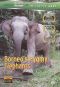 Borneo's Pygmy Elephants