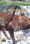 Wild Asia: Island Magic