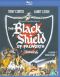 The Black Shield of Falworth