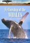 Nature: Fellowship of the Whales
