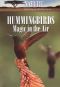 Nature: Hummingbirds: Magic in the Air