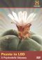 Peyote to LSD: A Psychedelic Odyssey