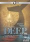 Into the Deep: America, Whaling & the World