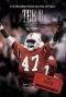 The U